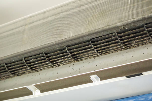 Best Affordable HVAC Duct Cleaning  in Tioga Terrace, NY